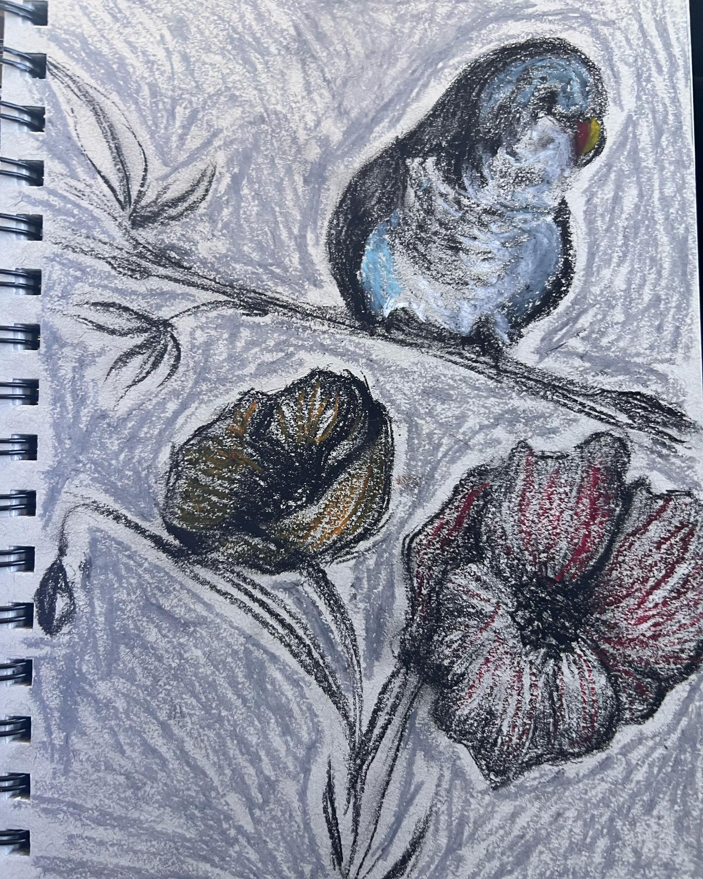 Sketchbook drawing of butterflies and flowers