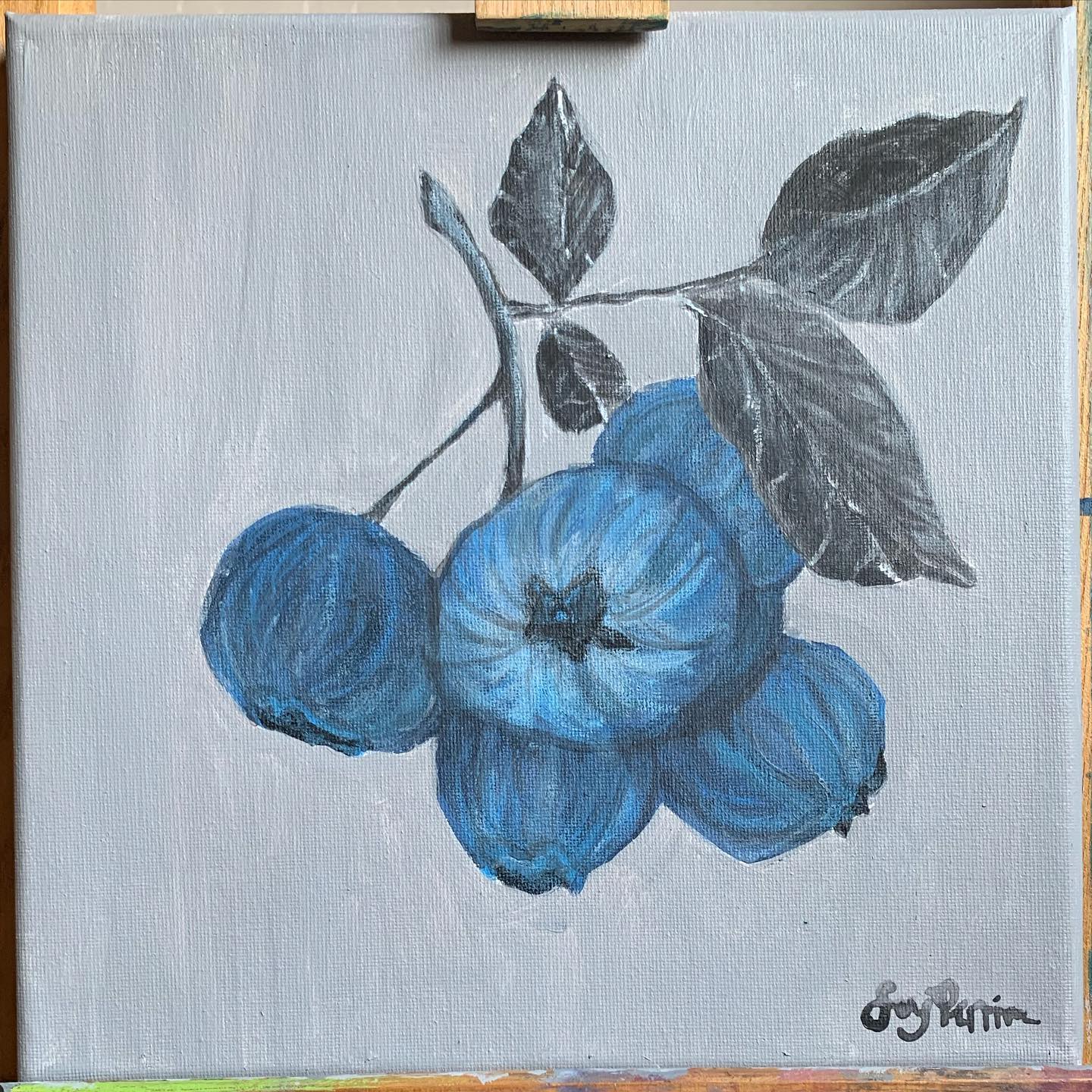 Blue flowers with gray leaves on a pale background