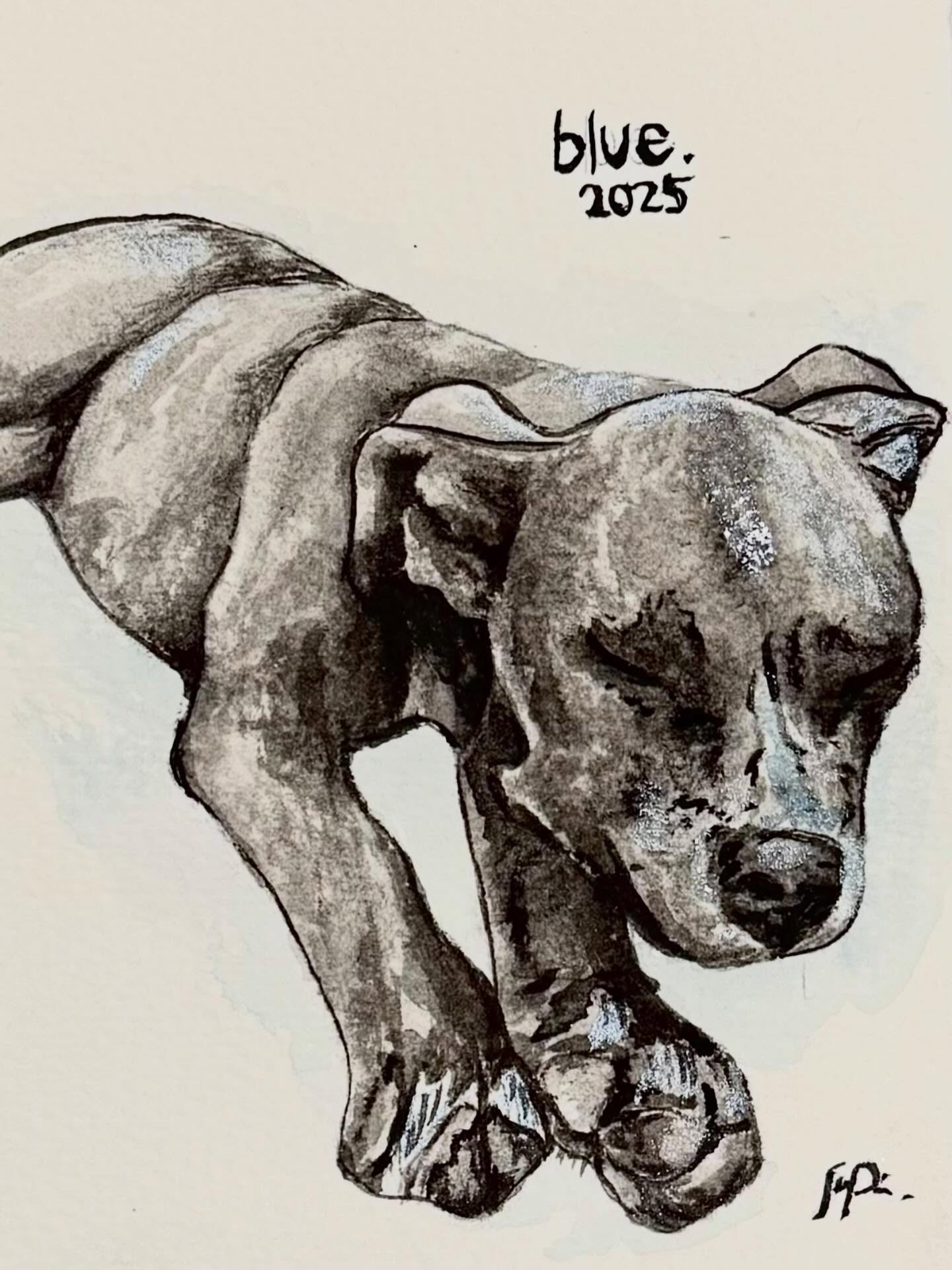 Carefully shaded drawing of a dog standing with its head lowered